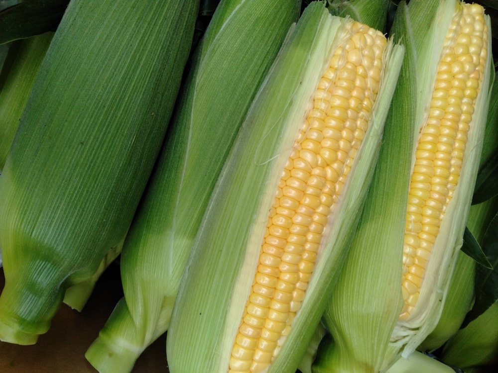 横浜産 自慢の野菜セット（5人前）