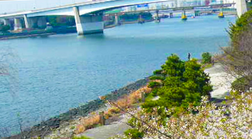 東海ふ頭公園