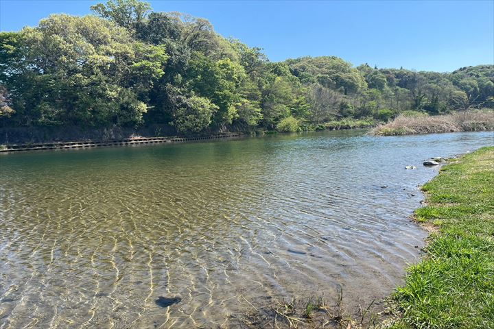 秋川ふれあいランド