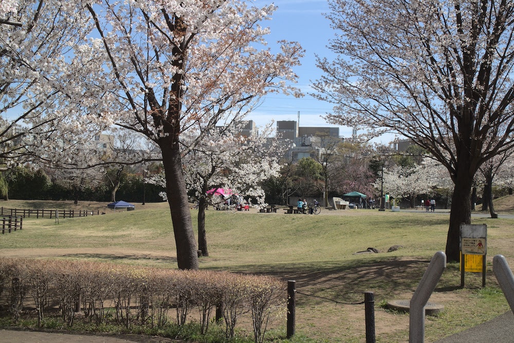 大泉さくら運動公園