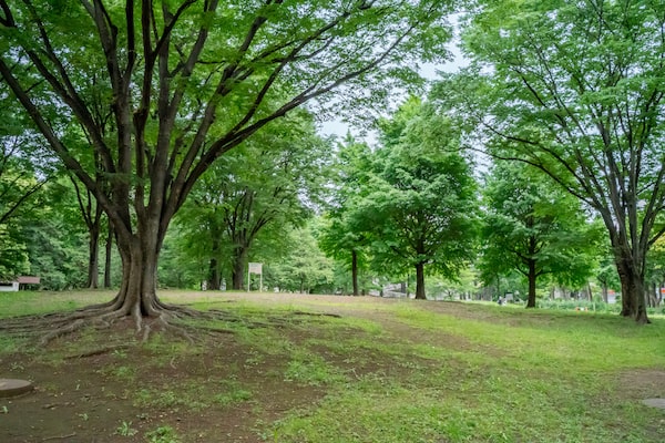 赤塚公園バーベキュー広場