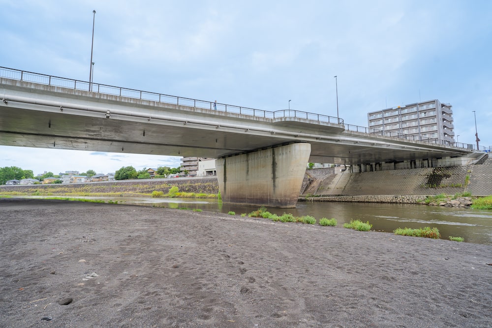 白川河川敷（子飼橋上流左岸のみ）