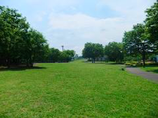 若葉台公園芝生広場