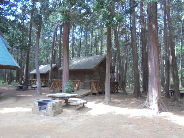 龍ケ崎市森林公園